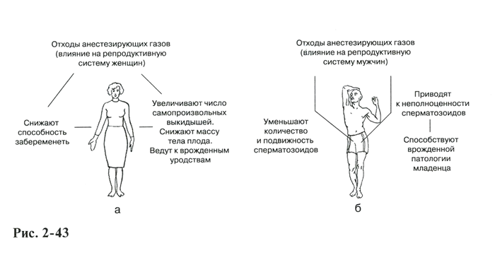 Методическая разработка лекций по ББС