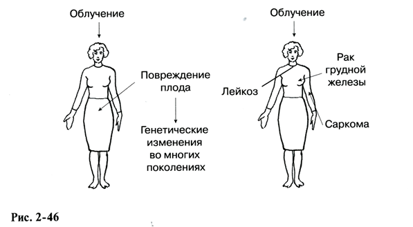 Методическая разработка лекций по ББС
