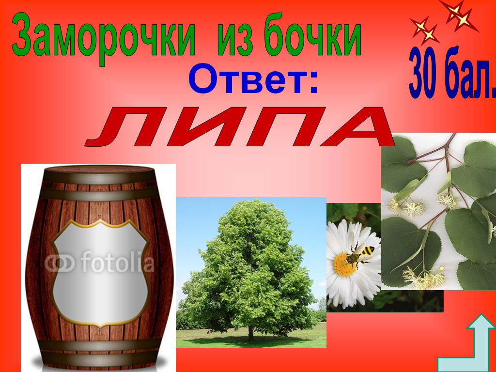 Интеллектуальная игра Звёздный час