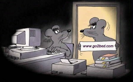 Использование компьютерных технологий в образовании
