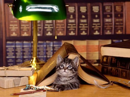 Об использовании презентации для проведения факультативного занятия